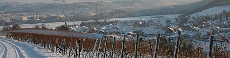 winterWB_1